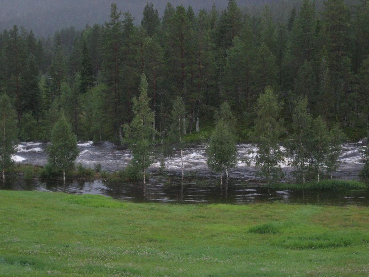 Chalet Lie Hytteutleige - Gjestegård - Thor Fine Art