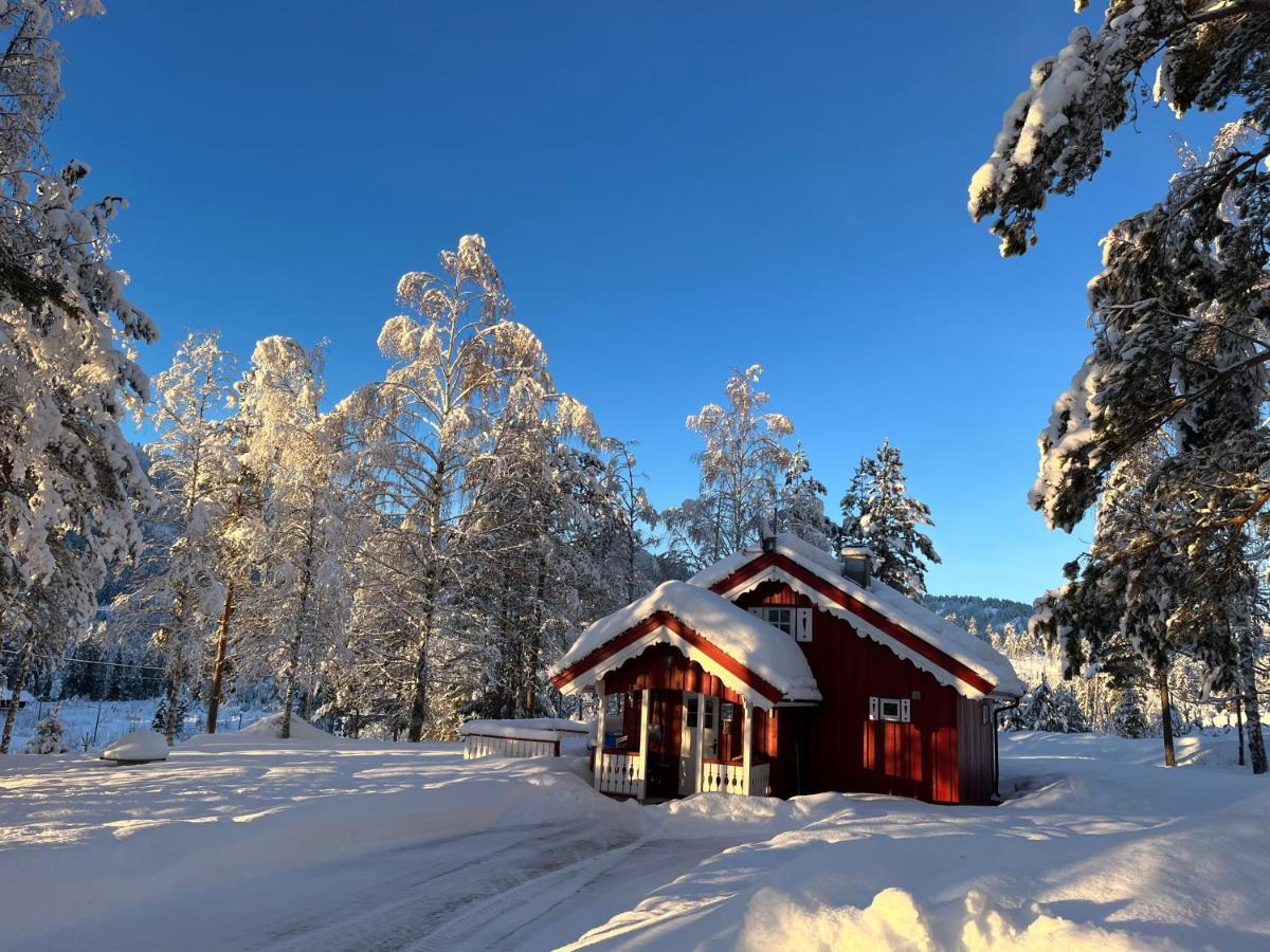 Lie Hytteutleige - Gjestegård - Thor Fine Art * Amdals Verk