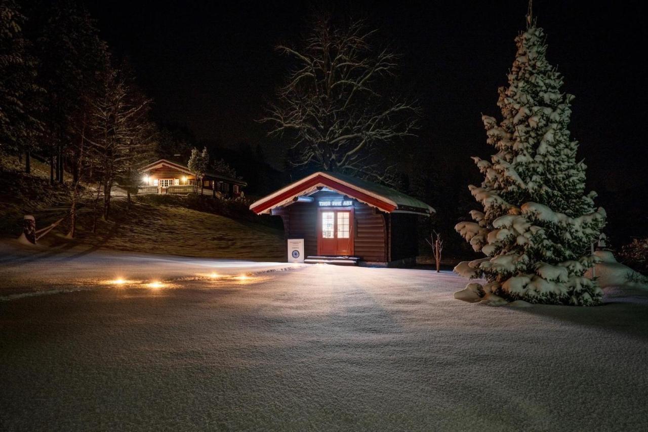 Lie Hytteutleige - Gjestegård - Thor Fine Art Chalet Amdals Verk